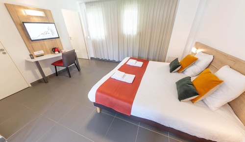 Superior Double or Twin Room