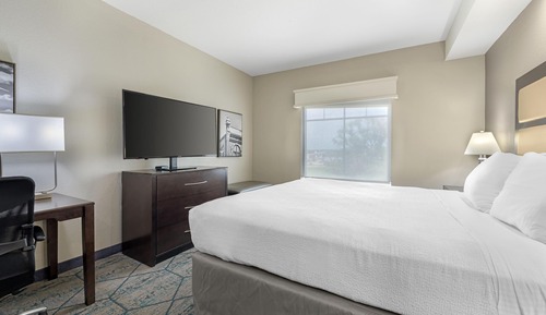 Suite, 1 King Bed, Non Smoking, Refrigerator & Microwave (with Sofabed)