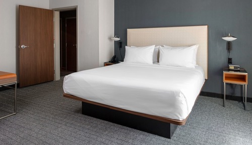 Suite, 1 King Bed with Sofa bed