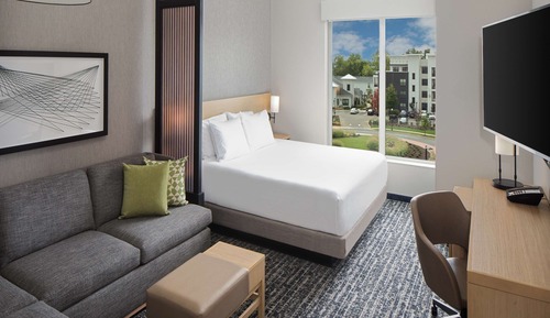 Room, 1 King Bed (Accessible, Roll-in Shower)