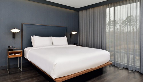 Room, 1 King Bed with Sofa bed, Hearing Accessible