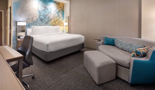 Room, 1 King Bed with Sofa bed (Hearing Accessible)