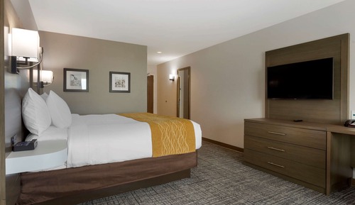 Room, 1 King Bed, Accessible, Non Smoking (Roll-In Shower)