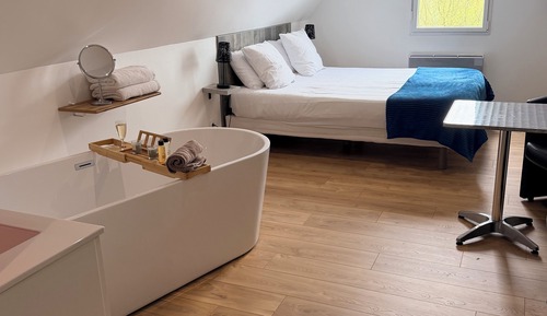 Superior Double Room, 1 Queen Bed, Refrigerator & Microwave, Garden View