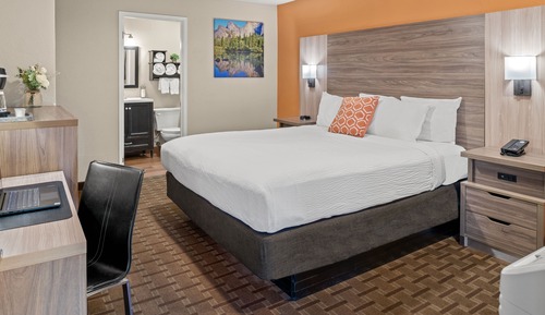 Room 602 - King Standard