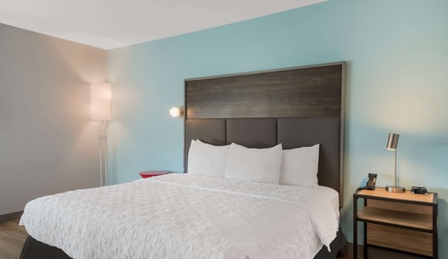 Room, 1 King Bed, Bathtub