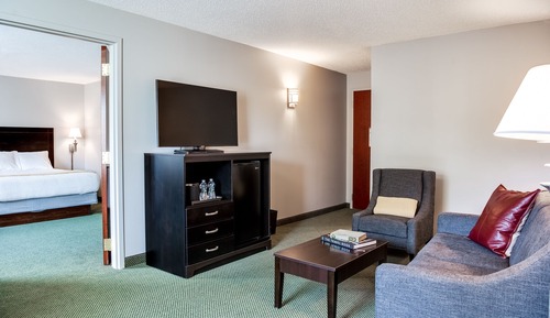 Standard Suite, 1 King Bed