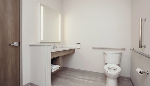 Standard Room, 1 King Bed, Accessible (Mobility, Transfer Shower)