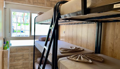 Basic Shared Dormitory, Mixed Dorm (1 bed in a 9 or 12-Bed Dormitory Room)