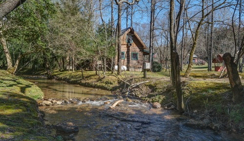 The Fox Cabin