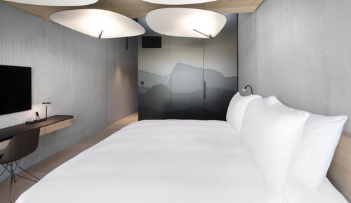 Superior Double or Twin Room