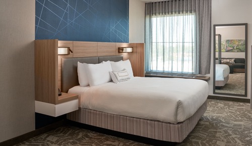 Suite, 1 King Bed with Sofa bed