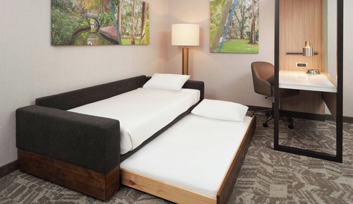 Suite, 1 King Bed with Sofa bed, Hearing Accessible
