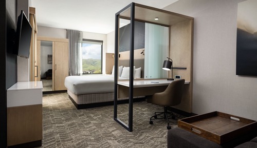 Suite, 1 King Bed (Mobility Accessible, Roll-In Shower)