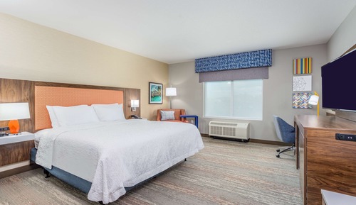 Room, 1 King Bed, Accessible (Roll-In Shower)
