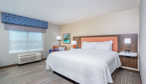 Room, 1 King Bed, Refrigerator