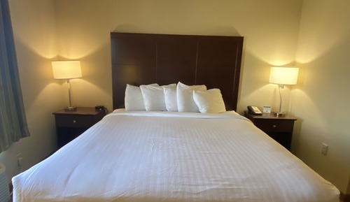 Room, 1 King Bed, Non Smoking