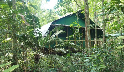 Economy Tree House, 1 Double Bed