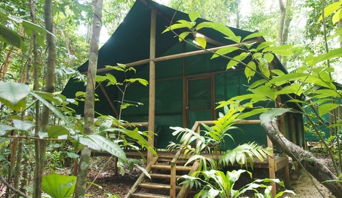 Economy Tree House, 2 Twin Beds