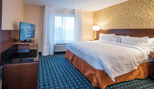 Suite, 1 King Bed with Sofa bed, Roll-in Shower