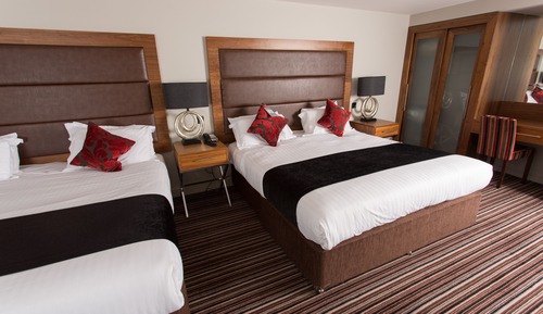 Contemporary Executive Twin Room