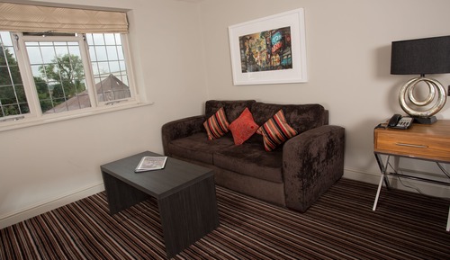 Contemporary Junior Suite 