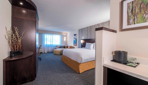 Room, 1 King Bed, Hearing Accessible (Accessible Bathtub)