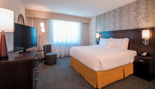 Room, 1 King Bed with Sofa bed, Hearing Accessible