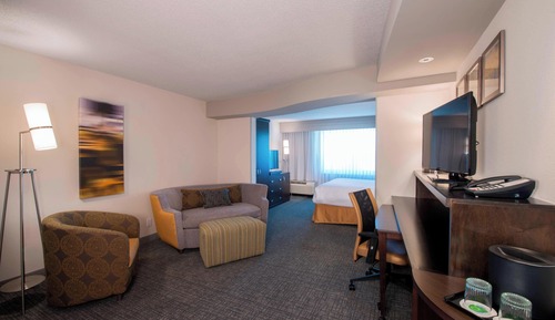 Suite, 1 King Bed with Sofa bed