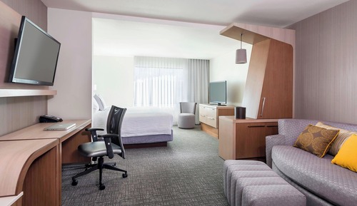 Executive Suite, 1 King Bed with Sofa bed