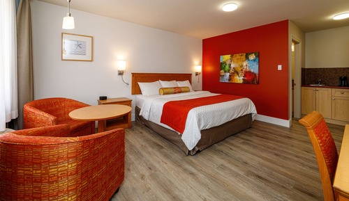 Studio, 1 King Bed, Mobility Accessible, Ground Floor