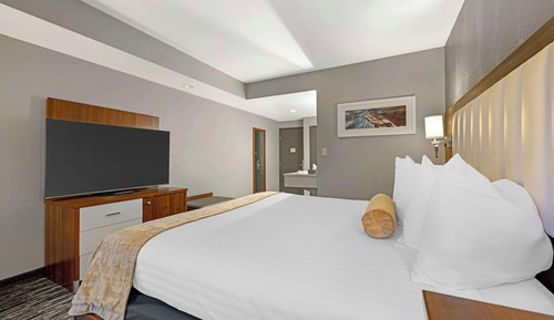 Standard Room, 1 King Bed, Non Smoking (Walk-in Shower)