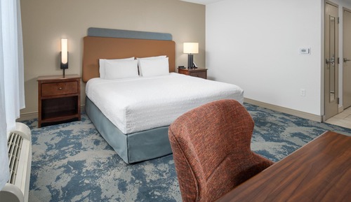 Room, 1 King Bed