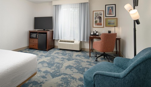 Room, 1 King Bed, Accessible, Non Smoking