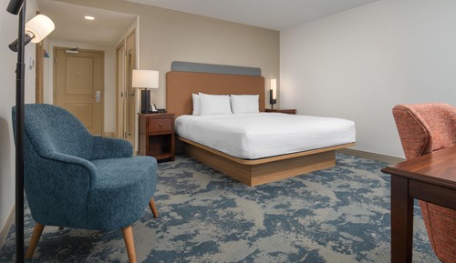 Room, 1 King Bed, Accessible, Non Smoking