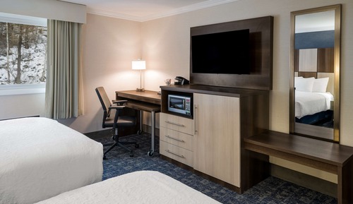 Standard Room, 2 Queen Beds, Accessible, Refrigerator & Microwave (Walk-in Shower)