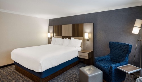 Standard Room, 1 King Bed, Accessible, Refrigerator & Microwave