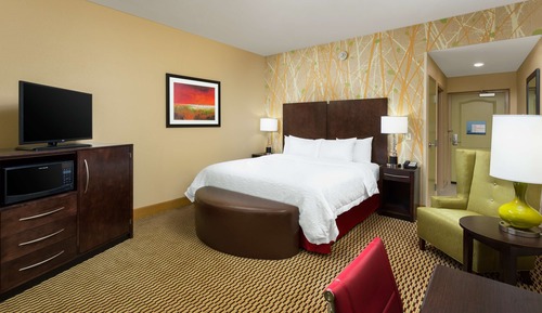 Room, 1 King Bed, Accessible