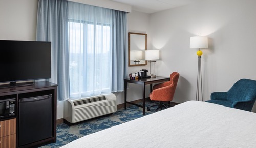Room, 1 King Bed