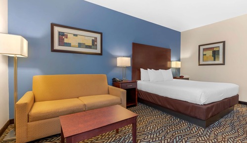 Standard Room, 1 King Bed with Sofa bed, Non Smoking, Refrigerator & Microwave (with Sofabed)