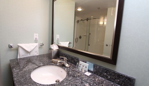 Room, 1 King Bed, Refrigerator