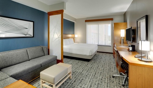 Room, 1 King Bed with Sofa bed