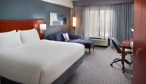 Room, 1 King Bed with Sofa bed