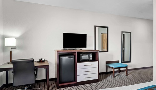 Standard Room, 1 King Bed, Non Smoking, Refrigerator & Microwave