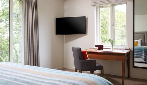 Standard Double Room, 1 King Bed