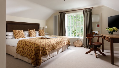 Family Room, Multiple Beds