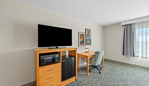Room, 1 King Bed, Accessible, Non Smoking