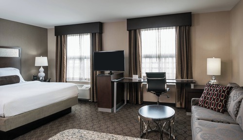 Studio, 1 King Bed with Sofa bed