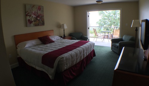 Standard Room, 1 King Bed, Refrigerator & Microwave, Lake View