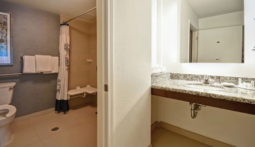 Studio, 1 King Bed with Sofa bed (Mobility Accessible, Roll-in Shower)